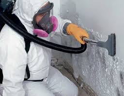 Mold Remediation